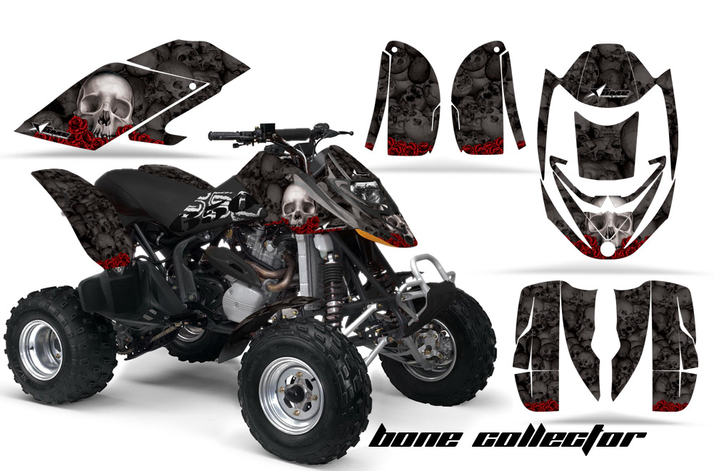 Can-Am Bombardier DS650 Graphics BC black